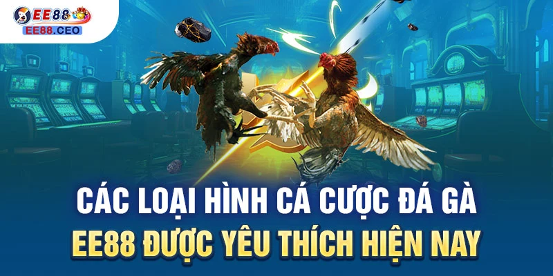 Các loại hình cá cược đá gà EE88 được yêu thích hiện nay