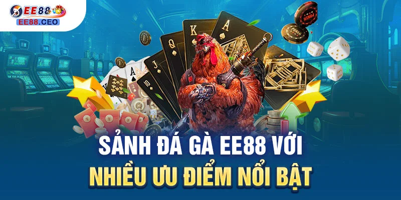 Sảnh đá gà EE88 với nhiều ưu điểm nổi bật